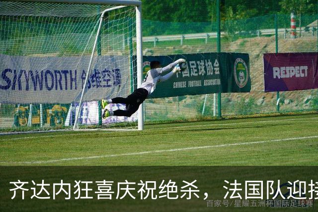 齐达内狂喜庆祝绝杀，法国队迎接两连胜的辉煌瞬间
